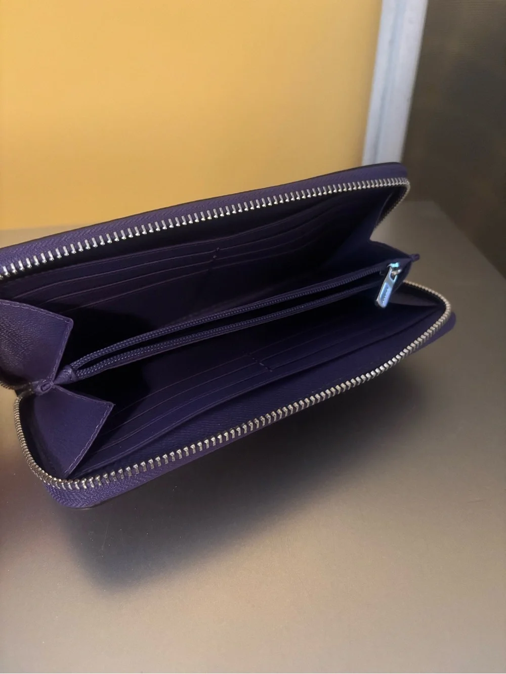 Coach sleek zip